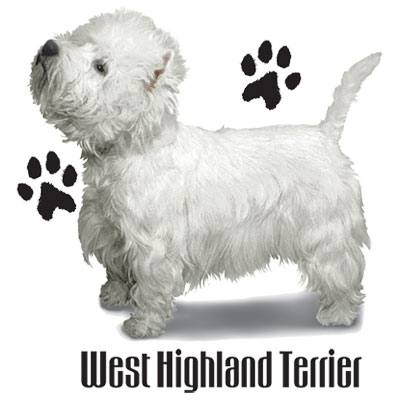 ウエストハイランドホワイトテリア(P) ウエスティー 傘 65cm 直径110cm レディース メンズ 男女兼用 雨傘 かわいい おしゃれ 梅雨 レイングッズ ...