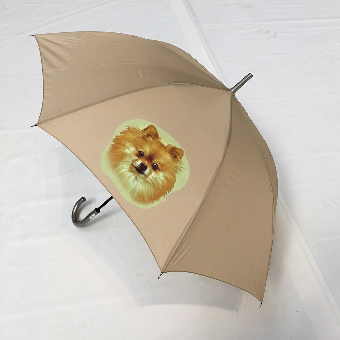 ポメラニアン ポメグッズ(NEW) 傘 65cm 直径110cm レディース メンズ 男女兼用 雨傘 かわいい おしゃれ 梅雨 レイングッズ UVカット 風に強...