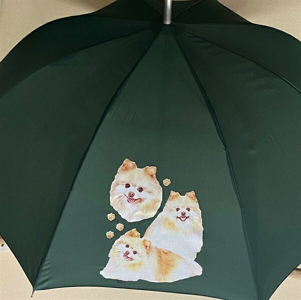 ポメラニアン (集合2) 傘 65cm 直径110cm レディース メンズ 男女兼用 雨傘 かわいい おしゃれ 梅雨 レイングッズ UVカット 風に強い 耐風 ...