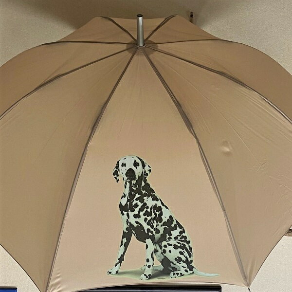 ダルメシアン ワンタッチ(P) 傘 65cm 直径110cm レディース メンズ 男女兼用 雨傘 かわいい おしゃれ 梅雨 レイングッズ UVカット 風に強い ...