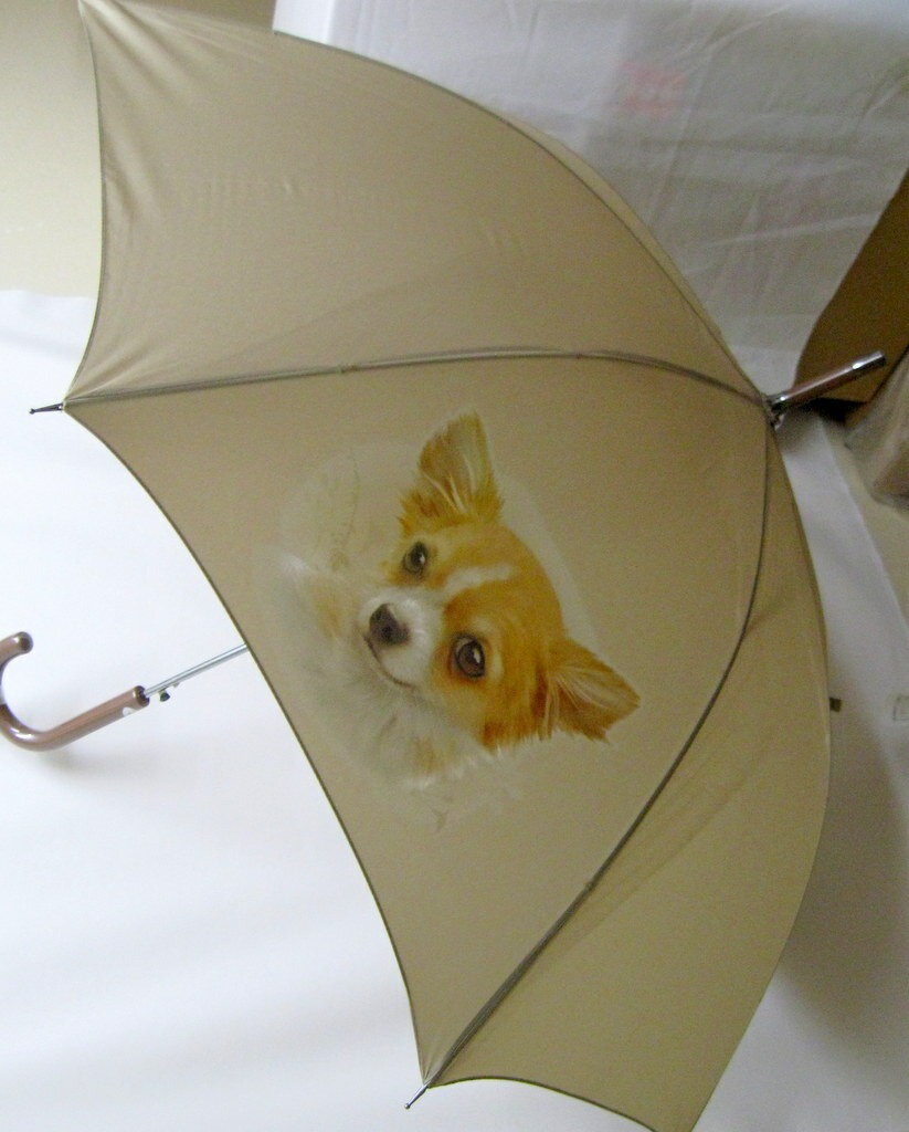 チワワ(NEW) 傘 65cm 直径110cm レディース メンズ 男女兼用 雨傘 かわいい おしゃれ 梅雨 レイングッズ UVカット 風に強い 耐風 犬柄 い...