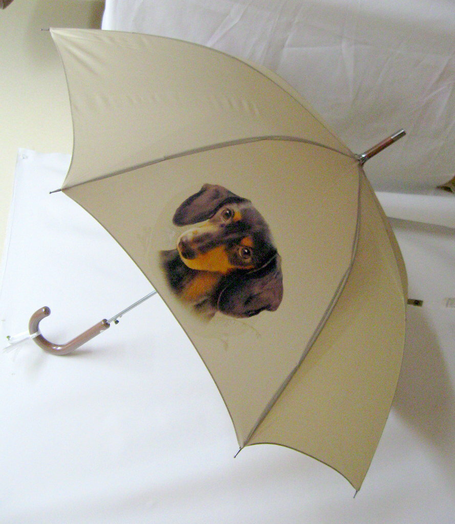 ダックスフント ダックスフンド ブラックタンスムース（NEW） 傘 65cm 直径110cm レディース メンズ 男女兼用 雨傘 かわいい おしゃれ 梅雨 レイングッズ UVカット 風に強い 耐風 犬柄 いぬ 犬グッズ 犬プリント 父の日