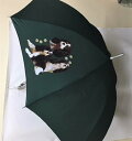 キャバリア(集合2) 傘 65cm 直径110cm レディース メンズ 男女兼用 雨傘 かわいい おしゃれ 梅雨 レイングッズ UVカット 風に強い 耐風 犬柄...