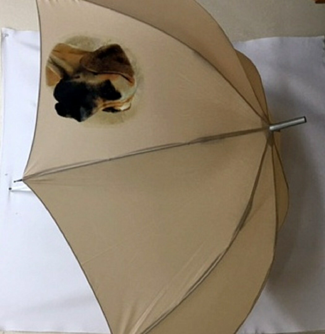 グレートデーン(NEW) 傘 65cm 直径110cm レディース メンズ 男女兼用 雨傘 かわいい おしゃれ 梅雨 レイングッズ UVカット 風に強い 耐風 ...