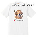 ゴールデンレトリバー レトリーバー 犬 ドッグ tシャツ 半袖 カットソー 丸首型 クルーネック 綿100% トップス レディース メンズ シンプル かわいい おしゃれ イベント お揃い ドッグ 犬 犬柄 いぬ 犬プリント 犬種別 犬グッズ プリント