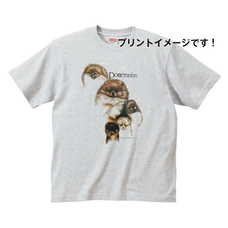 ポメラニアン (集合) tシャツ 半袖 カットソー 丸首型 クルーネック 綿100% トップス レディース メンズ シンプル かわいい おしゃれ イベント お揃...