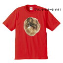 ポメラニアン (R) tシャツ 半袖 カットソー 丸首型 クルーネック 綿100% トップス レディース メンズ シンプル かわいい おしゃれ イベント お揃い...