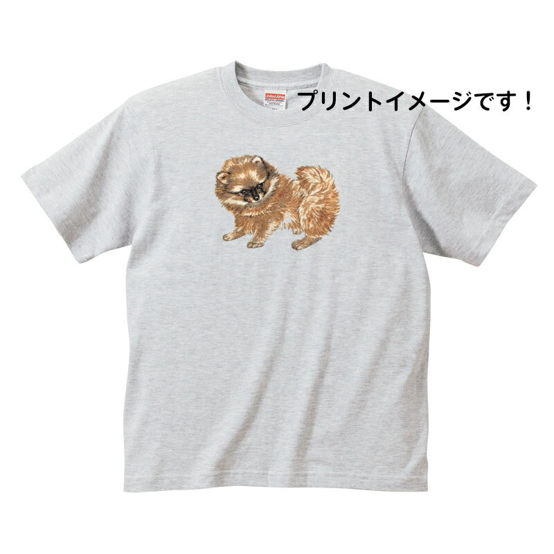 ポメラニアン パピー (R) tシャツ 半袖 カットソー 丸首型 クルーネック 綿100% トップス レディース メンズ シンプル かわいい おしゃれ イベント...