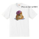 ポメラニアン tシャツ 半袖 カットソー 丸首型 クルーネック 綿100% トップス レディース メンズ シンプル かわいい おしゃれ イベント お揃い ドッグ 犬 犬柄 いぬ 犬プリント 犬種別 犬グッズ