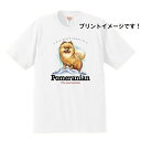 ポメラニアン アニメ tシャツ 半袖 カットソー 丸首型 クルーネック 綿100% トップス レディース メンズ シンプル かわいい おしゃれ イベント お揃い ドッグ 犬 犬柄 いぬ 犬プリント 犬種別 犬グッズ