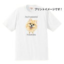 ポメラニアン パピー (フェイス) tシャツ 半袖 カットソー 丸首型 クルーネック 綿100% トップス レディース メンズ シンプル かわいい おしゃれ イベント お揃い ドッグ 犬 犬柄 いぬ 犬プリント 犬種別 犬グッズ