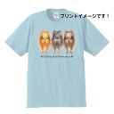 ポメラニアン パピー (後姿) tシャツ 半袖 カットソー 丸首型 クルーネック 綿100% トップス レディース メンズ シンプル かわいい おしゃれ イベント お揃い ドッグ 犬 犬柄 いぬ 犬プリント 犬種別 犬グッズ 母の日