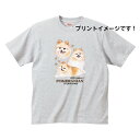 ポメラニアン パピー (集合2) tシャツ 半袖 カットソー 丸首型 クルーネック 綿100% トップス レディース メンズ シンプル かわいい おしゃれ イベント お揃い ドッグ 犬 犬柄 いぬ 犬プリント 犬種別 犬グッズ 母の日