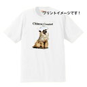 チャイニーズクレッセッド チャイクレ (R-84) tシャツ 半袖 カットソー 丸首型 クルーネック 綿100% トップス レディース メンズ シンプル かわい...