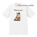 チャイニーズクレッセッド チャイクレ (R-84) tシャツ 半袖 カットソー 丸首型 クルーネック 綿100% トップス レディース メンズ シンプル かわいい おしゃれ イベント お揃い ドッグ 犬 犬柄 いぬ 犬プリント 犬種別 犬グッズ