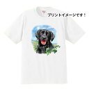 ラブラドールレトリーバー ラブラドールレトリバー ブラックラブ tシャツ 半袖 カットソー 丸首型 クルーネック 綿100% トップス レディース メンズ シン...