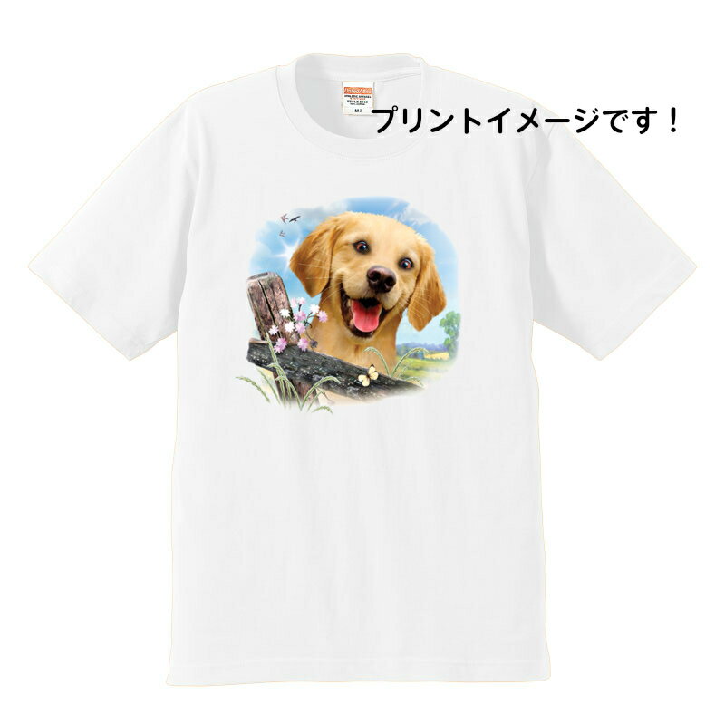 ゴールデンレトリーバー ゴールデンレトリバー tシャツ 半袖 カットソー 丸首型 クルーネック 綿100% トップス レディース メンズ シンプル かわいい お...