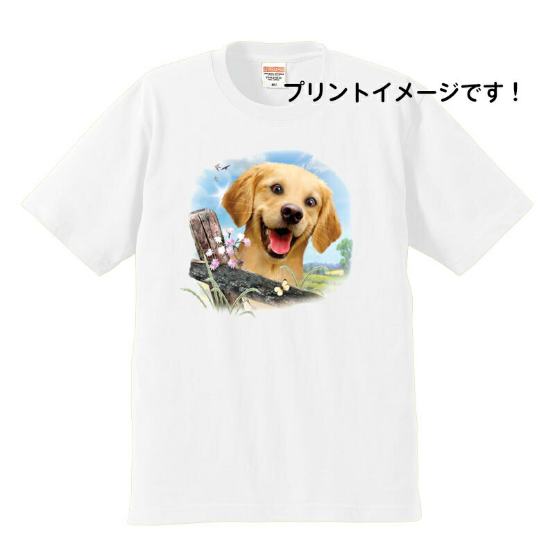 【期間限定ポイント2倍】ゴールデンレトリーバー ゴールデンレトリバー tシャツ 半袖 カットソー 丸首型 クルーネック 綿100% トップス レディース メンズ シンプル かわいい おしゃれ イベント お揃い ドッグ 犬 犬柄 いぬ 犬プリント 犬種別 犬グッズ 父の日