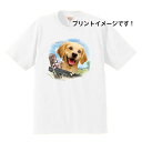 ゴールデンレトリーバー ゴールデンレトリバー tシャツ 半袖 カットソー 丸首型 クルーネック 綿100% トップス レディース メンズ シンプル かわいい おしゃれ イベント お揃い ドッグ 犬 犬柄 いぬ 犬プリント 犬種別 犬グッズ 母の日