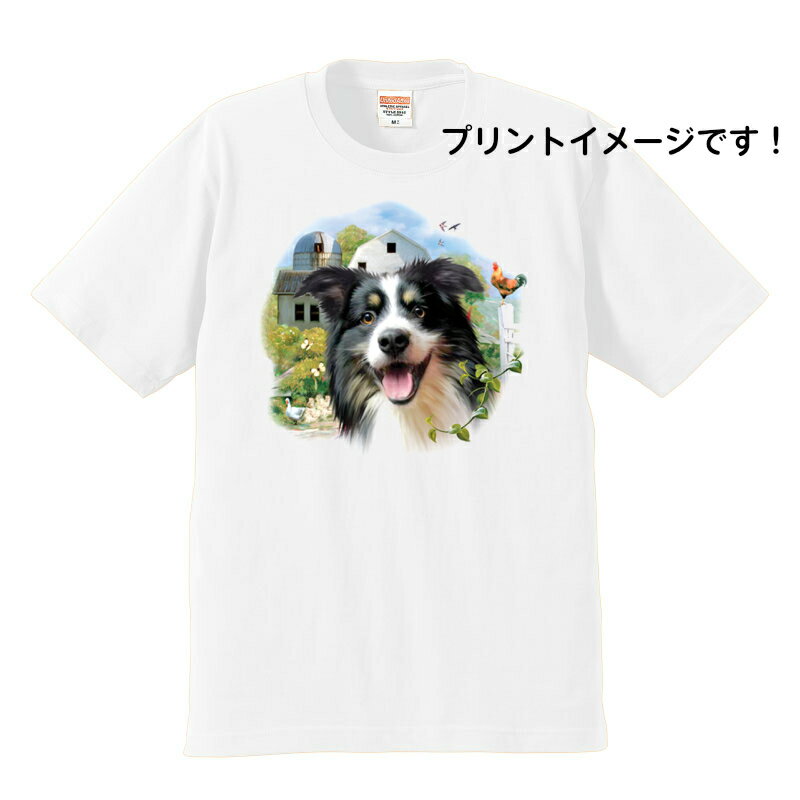 かわいいボーダーコリー柄が、プリントされた半袖TシャツですTシャツの素材　綿100％　アッシュのみ綿95％ポリエステル5％Tシャツは6.2オンス、厚手でしっかり！！S 着丈63cm 身幅47cm 肩幅42cm 袖丈18cmM 着丈68cm 身幅52cm 肩幅46cm 袖丈22cmL 着丈72cm 身幅55cm 肩幅50cm 袖丈22cmXL 着丈75cm 身幅60cm 肩幅55cm 袖丈23cm＊首元は、ダブルルステッチリブの為、何度洗濯しても伸びにくくなっています。＊縫製前の生地に、水洗いとタンブル乾燥を施す「防縮加工」済み。洗濯後も型くずれしにくいのが特徴です。＊「コーマ糸」を使用しているので、毛羽立ちを抑え、肌触りがなめらかなTシャツです。＊この商品は、お客様にご注文いただいたのちに、プリントしています。商品画像は、プリントイメージです。実際のプリントとは若干異なる場合がございます。＊他サイト、イベント等でも販売しておりますので、まれに、在庫があることになっていても、完売になっている場合がございます完売になってしまっている場合、すぐにご連絡させていただきますので、恐れ入りますが、ご了承くださいませボーダーコリー一覧はこちらから