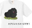 ポメラニアン tシャツ 半袖 カットソー 丸首型 クルーネック 綿100% トップス レディース メンズ シンプル かわいい おしゃれ イベント お揃い ドッグ 犬 犬柄 いぬ 犬プリント 犬種別 犬グッズ 母の日 2