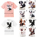 半袖 tシャツ 選べる大型犬シリーズ D バーニーズ ブルドッグ マラミュート オーシー バセットハウンド ブラックラブ イエローラブ チョコレートラブ カットソー クルーネック 綿100% かわいい dog ドッグ 犬 犬柄 いぬ 犬プリント 犬種別 犬グッズ ドッグショー