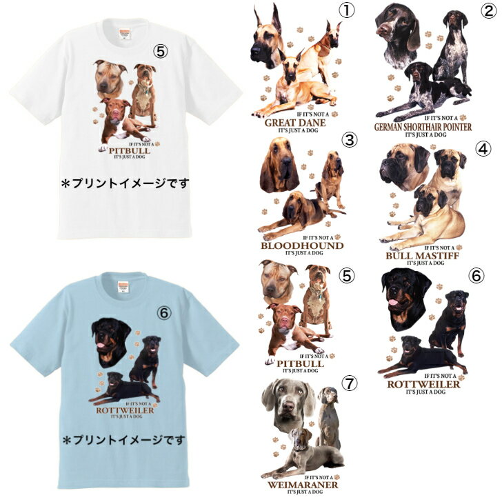 半袖 tシャツ 選べる大型犬シリーズ F グレートデン ジャーマンポインター ブロッドハウンド ブルマスティフ ピットブル ロットワイラー ワイマラナー カットソー クルーネック 綿100 かわいい dog ドッグ 犬 犬柄 いぬ 犬プリント 犬種別 犬グッズ ドッグショー