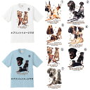 選べる大型犬柄が、プリントされた半袖Tシャツですグレートデン ジャーマンショートヘアードポインター ブロッドハウンド ブルマスティフ アメリカンピットブルテリア ロットワイラー ワイマラナー Tシャツの素材　綿100％　アッシュのみ綿95％ポリエステル5％Tシャツは6.2オンス、厚手でしっかり！！S 着丈63cm 身幅47cm 肩幅42cm 袖丈18cmM 着丈68cm 身幅52cm 肩幅46cm 袖丈22cmL 着丈72cm 身幅55cm 肩幅50cm 袖丈22cmXL 着丈75cm 身幅60cm 肩幅55cm 袖丈23cm＊首元は、ダブルルステッチリブの為、何度洗濯しても伸びにくくなっています。＊縫製前の生地に、水洗いとタンブル乾燥を施す「防縮加工」済み。洗濯後も型くずれしにくいのが特徴です。＊「コーマ糸」を使用しているので、毛羽立ちを抑え、肌触りがなめらかなTシャツです。＊この商品は、お客様にご注文いただいたのちに、プリントしています。商品画像は、プリントイメージです。実際のプリントとは若干異なる場合がございます。＊他サイトでも販売しておりますので、まれに、在庫があることになっていても、完売になっている場合がございます完売になってしまっている場合、すぐにご連絡させていただきますので、恐れ入りますが、ご了承くださいませ大型犬一覧はこちらから