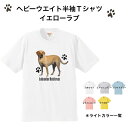 半袖Tシャツ ラブラドールレトリーバー レトリーバー イエローラブ (P-06) tシャツ 半袖 カットソー 丸首型 クルーネック 綿100% トップス ユニセ...