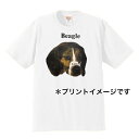 ビーグル tシャツ 半袖 カットソー 丸首型 クルーネック90s ビンテージ柄 USA 直輸入柄 綿100% トップス レディース メンズ シンプル かわいい ...