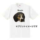 ビーグル tシャツ 半袖 カットソー 丸首型 クルーネック90s ビンテージ柄 USA 直輸入柄 綿100% トップス レディース メンズ シンプル かわいい おしゃれ イベント お揃い ドッグ 犬 犬柄 いぬ 犬プリント 犬種別 犬グッズ 母の日