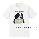 バーニーズ バーニーズマウンテンドッグ tシャツ 半袖 カットソー 丸首型 クルーネック 90s USA 直輸入柄 ビンテージ 綿100% トップス レディース メンズ シンプル かわいい おしゃれ イベント お揃い ドッグ 犬 犬柄 いぬ 犬プリント 犬種別 犬グッズ