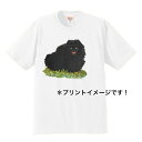 ポメラニアン tシャツ 半袖 カットソー 丸首型 クルーネック 綿100% トップス レディース メンズ シンプル かわいい おしゃれ イベント お揃い ドッグ...