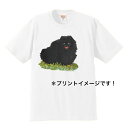 ポメラニアン tシャツ 半袖 カットソー 丸首型 クルーネック 綿100% トップス レディース メンズ シンプル かわいい おしゃれ イベント お揃い ドッグ 犬 犬柄 いぬ 犬プリント 犬種別 犬グッズ 母の日 1