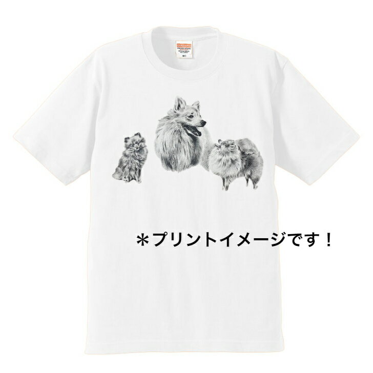 ポメラニアン tシャツ 半袖 カットソー 丸首型 クルーネック 綿100% トップス レディース メンズ シンプル かわいい おしゃれ イベント お揃い ドッグ 犬 犬柄 いぬ 犬プリント 犬種別 犬グッズ 父の日