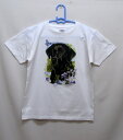 ラブラドールレトリーバ・レトリーバー tシャツ 半袖 カットソー 丸首型 クルーネック 綿100% トップス レディース メンズ シンプル かわいい おしゃれ ...