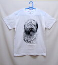 犬 tシャツ レディース おもしろ 母の日 プレゼント パピヨン 犬柄 Tシャツ 犬 オリジナル パピヨン シャツ グッズ 雑貨 誕生日 オーナーグッズ メンズ 可愛い オーダーメイド パピヨン かわいい ギフト プレゼント