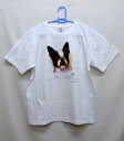 ボストンテリア (NEW) tシャツ 半袖 カットソー 丸首型 クルーネック 綿100% トップス レディース メンズ シンプル かわいい おしゃれ イベント ...