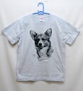コーギー (エンピツ) tシャツ 半袖 カットソー 丸首型 クルーネック 綿100% トップス レディース メンズ シンプル かわいい おしゃれ イベント お揃...