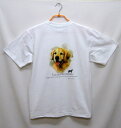 半袖Tシャツ ゴールデンレトリーバー tシャツ 半袖 カットソー 丸首型 クルーネック 綿100% トップス レディース メンズ シンプル かわいい おしゃれ ...