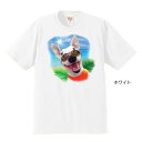 ブルテリア Bull Terrier 半袖 Tシャツ 犬プリント DOG dog 犬 オーナーズグッズ かわいい オフ会 記念品 ギフト 新商品 母の日