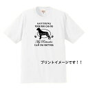 かわいいロットワイラー柄が、プリントされた半袖TシャツですTシャツの素材　綿100％　アッシュのみ綿95％ポリエステル5％Tシャツは6.2オンス、厚手でしっかり！！S 着丈63cm 身幅47cm 肩幅42cm 袖丈18cmM 着丈68cm 身幅52cm 肩幅46cm 袖丈22cmL 着丈72cm 身幅55cm 肩幅50cm 袖丈22cmXL 着丈75cm 身幅60cm 肩幅55cm 袖丈23cm＊首元は、ダブルルステッチリブの為、何度洗濯しても伸びにくくなっています。＊縫製前の生地に、水洗いとタンブル乾燥を施す「防縮加工」済み。洗濯後も型くずれしにくいのが特徴です。＊「コーマ糸」を使用しているので、毛羽立ちを抑え、肌触りがなめらかなTシャツです。＊この商品は、お客様にご注文いただいたのちに、プリントしています。商品画像は、プリントイメージです。実際のプリントとは若干異なる場合がございます。＊他サイト、イベント等でも販売しておりますので、まれに、在庫があることになっていても、完売になっている場合がございます完売になってしまっている場合、すぐにご連絡させていただきますので、恐れ入りますが、ご了承くださいませロットワイラー一覧はこちらから