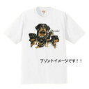 ロットワイラー(R集合) tシャツ 半袖 カットソー 丸首型 クルーネック 綿100% トップス レディース メンズ シンプル かわいい おしゃれ イベント お揃い ドッグ 犬 犬柄 いぬ 犬プリント 犬種別 犬グッズ