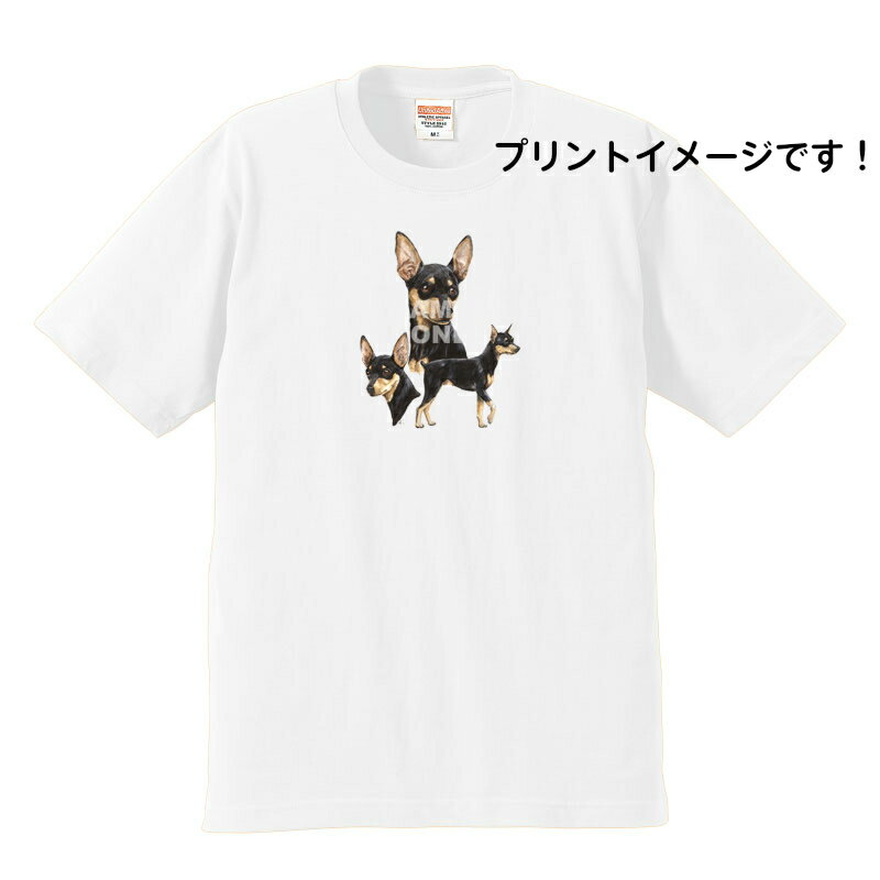 ミニチュア・ピンシャー柄が、プリントされた半袖TシャツですTシャツの素材　綿100％　アッシュのみ綿95％ポリエステル5％6.2オンスの厚手S 着丈63cm 身幅47cm 肩幅42cm 袖丈18cmM 着丈68cm 身幅52cm 肩幅46cm 袖丈22cmL 着丈72cm 身幅55cm 肩幅50cm 袖丈22cmXL 着丈75cm 身幅60cm 肩幅55cm 袖丈23cm＊首元は、ダブルルステッチリブの為、何度洗濯しても伸びにくくなっています。＊縫製前の生地に、水洗いとタンブル乾燥を施す「防縮加工」済み。洗濯後も型くずれしにくいのが特徴です。＊「コーマ糸」を使用しているので、毛羽立ちを抑え、肌触りがなめらかなTシャツです。＊この絵柄は、ブラック、レッドのTシャツには、プリントできません。＊この商品は、イベント等でも販売しておりますので、まれに売り違いが生じる場合が、ございます。売り違いが発生した場合、すぐにご連絡させていただきます。恐れ入りますが、ご了承くださいませ。