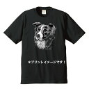 ボーダーコリー tシャツ 半袖 カットソー 丸首型 クルーネック 綿100% トップス レディース メンズ シンプル かわいい おしゃれ イベント お揃い ドッグ 犬 犬柄 いぬ 犬プリント 犬種別 犬グッズ