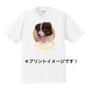 ボーダーコリー tシャツ Tシャツ 半袖 カットソー 丸首型 クルーネック 綿100% トップス レディース メンズ シンプル かわいい おしゃれ イベント お揃い ドッグ 犬 犬柄 いぬ 犬プリント 犬種別 犬グッズ