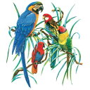 鳥 トリさん とり tシャツ 半袖 カットソー 丸首型 クルーネック 綿100% トップス レディース メンズ シンプル かわいい おしゃれ イベント お揃い ...
