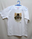 猫 キャット ねこ ネコ 猫グッズ tシャツ 半袖 カットソー 丸首型 クルーネック 綿100% トップス レディース メンズ シンプル かわいい おしゃれ イベント お揃い 動物 オーナーグッズ オフ会 母の日