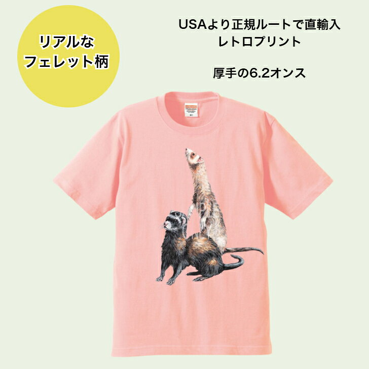 フェレット (02−L)小動物 tシャツ 半袖 カットソー 丸首型 クルーネック 綿100% ト...