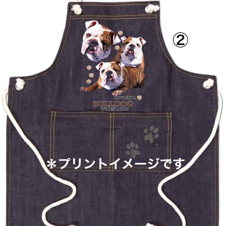 選べる大型犬D バーニーズ ブルドッグ A.マラミュート オーシー バセット ラブラド...